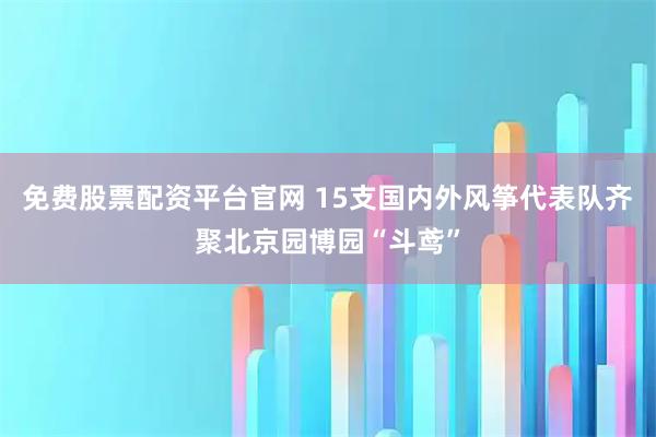 免费股票配资平台官网 15支国内外风筝代表队齐聚北京园博园“斗鸢”